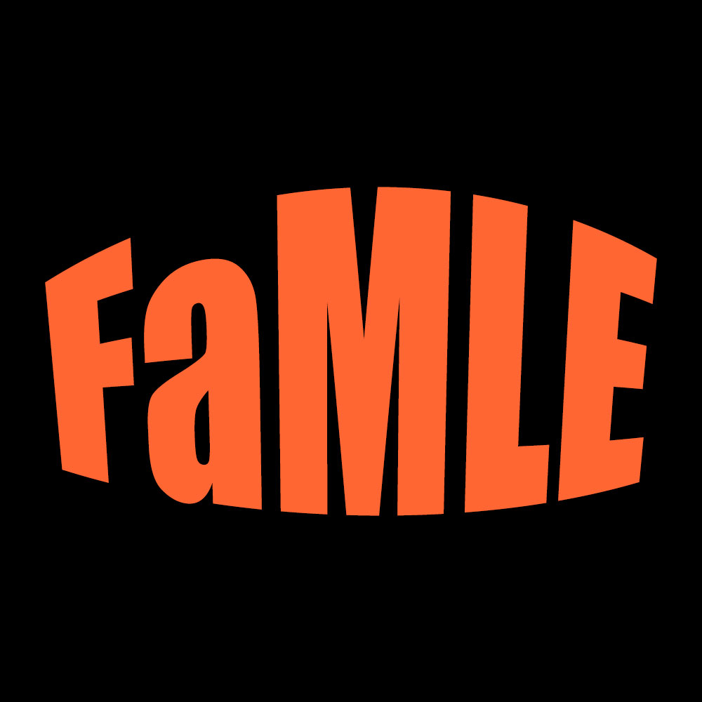 FaMLE’s Voxel Lab Residency